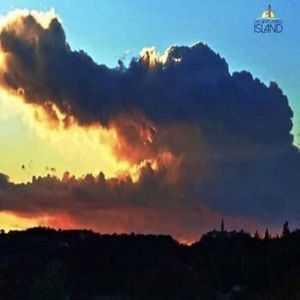 Meet your Posher, Bonnie